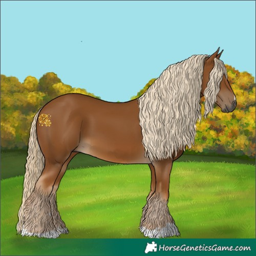 Horse Color:Gray Palomino 
