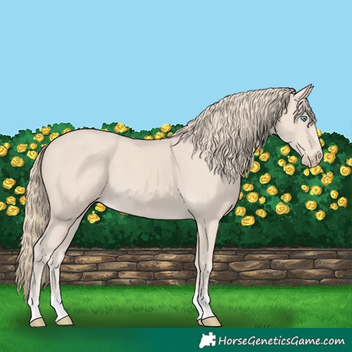 Horse Color:Smoky Creme 