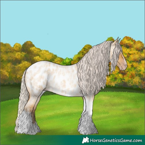 Horse Color:Gray Silver Amber Cream Champagne Roan Dun Splash Tobiano Frame Blanket Rabicano