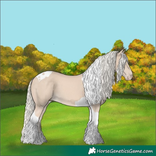 Horse Color:Cremello Tobiano 
