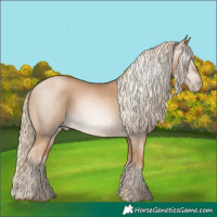 Horse Color:Gray Palomino Pearl 