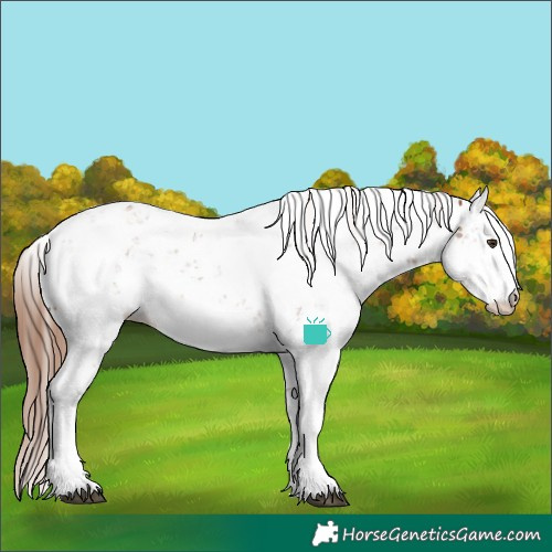Horse Color:Chestnut Sabino 