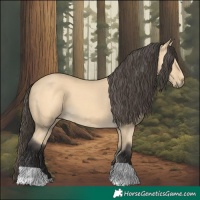 Horse Color:Buckskin 