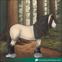 Horse Color:Buckskin