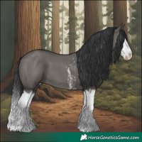 Horse Color:Grullo Sabino Splash  and Grullo Sabino Splash 