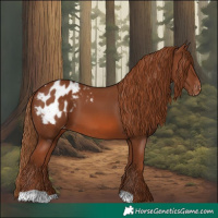 Horse Color:Chestnut Blanket 
