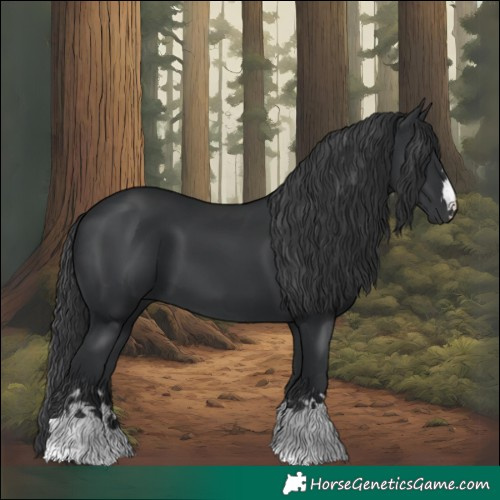 Horse Color:Black 