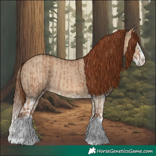 Horse Color:Red Dun Splash and Red Dun Splash