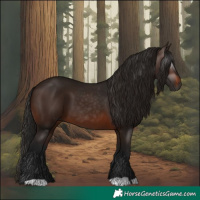 Horse Color:Gray Bay