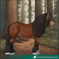 Horse Color:Gray Bay Varnish