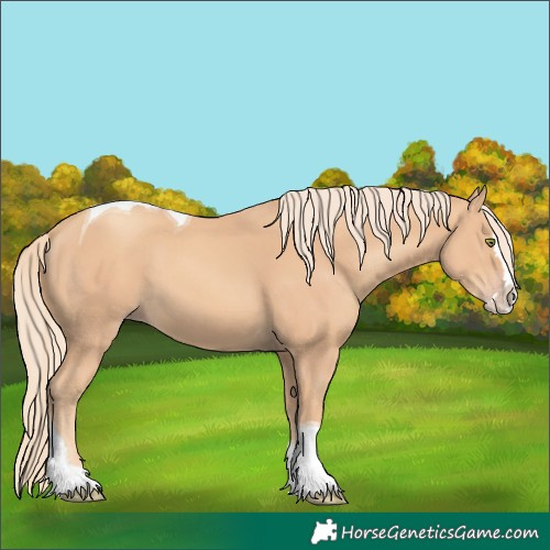 Horse Color:Unknown 