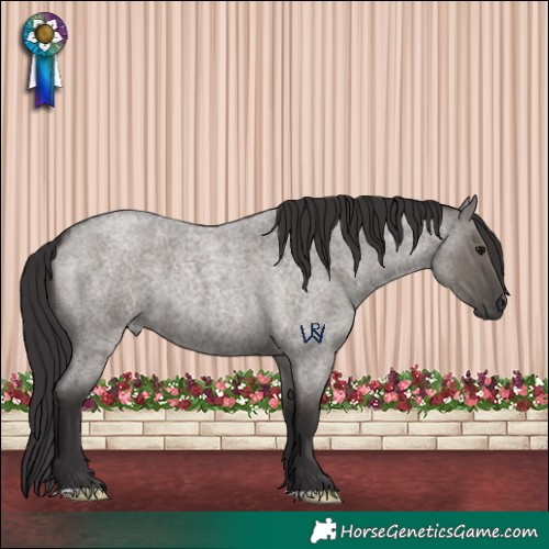 Horse Color:Smoky Grullo Roan 