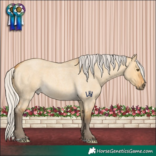 Horse Color:Silver Buckskin Roan Dun