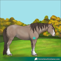 Horse Color:Classic Champagne