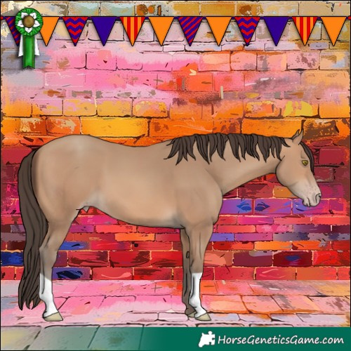 Horse Color:Amber Champagne