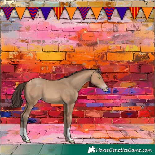 Horse Color:Amber Champagne 