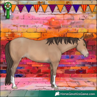 Horse Color:Amber Champagne 