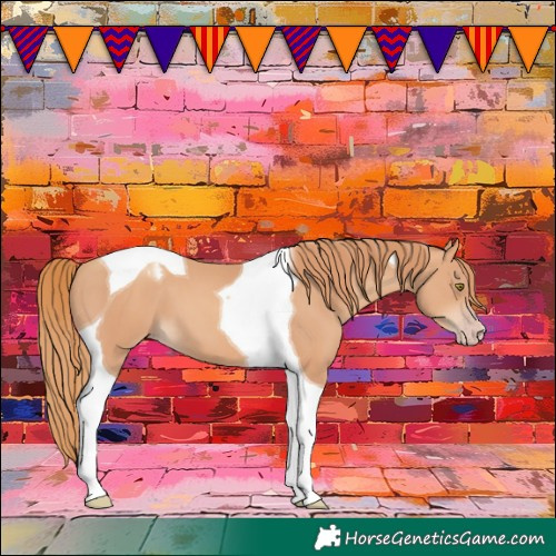 Horse Color:Gold Champagne Tobiano 