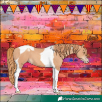 Horse Color:Gold Champagne Tobiano 