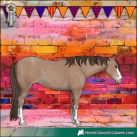 Horse Color:Classic Champagne