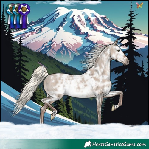 Horse Color:White Spotted Liver Red Dun Ice Mushroom Rabicano 