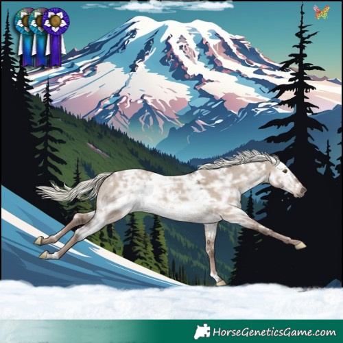 Horse Color:White Spotted Liver Red Dun Ice Mushroom Rabicano