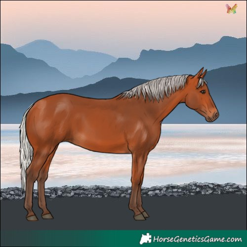 Horse Color:Silver Bay 