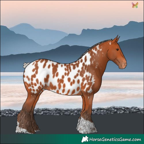 Horse Color:Silver Bay Tobiano Near Leopard 