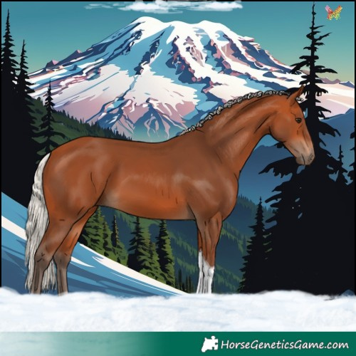 Horse Color:Silver Bay Tobiano 