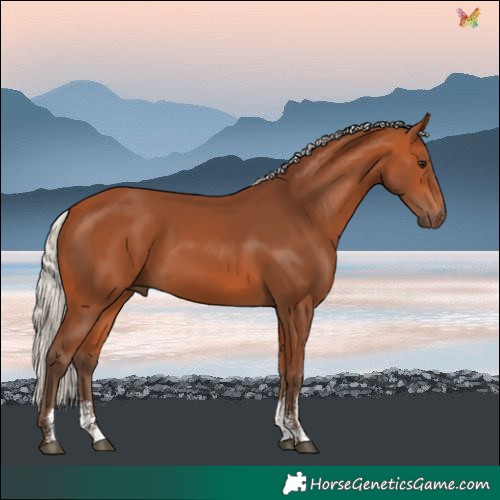Horse Color:Silver Bay Sabino
