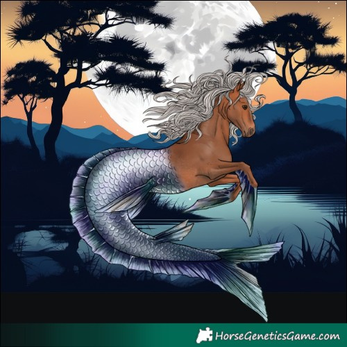 Horse Color:Silver Bay Rabicano 