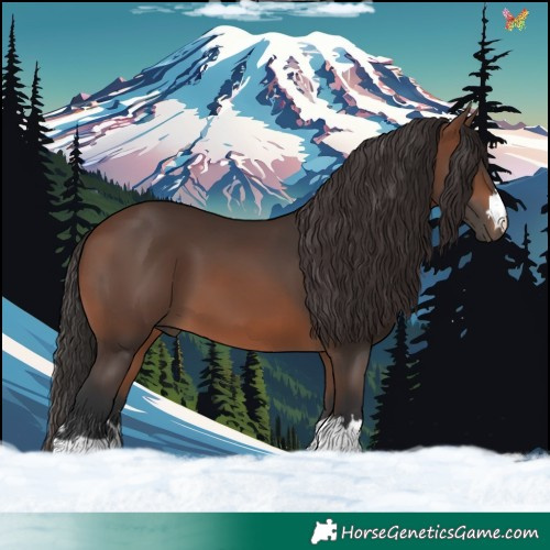 Horse Color:Brown 