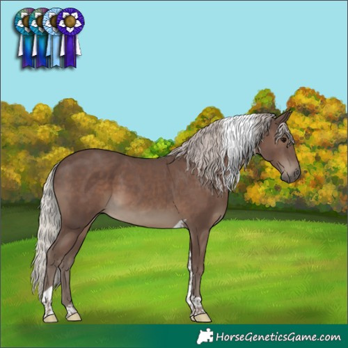 Horse Color:Silver Black Tobiano
