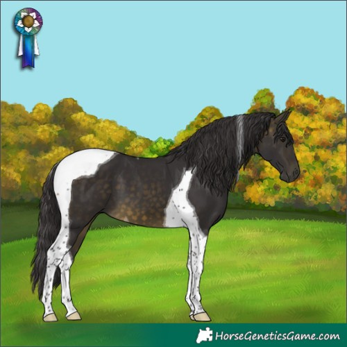 Horse Color:Buckskin Tobiano 