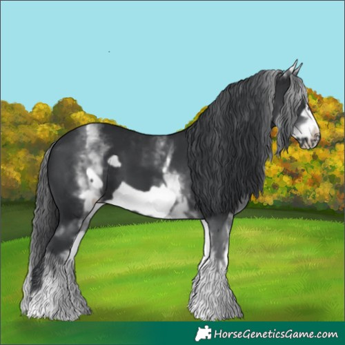 Horse Color:White Spotted Black Frame 