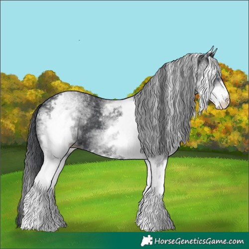 Horse Color:White Spotted Black 
