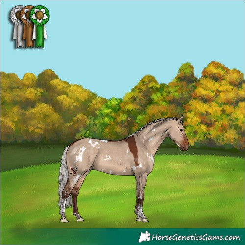 Horse Color:White Spotted Silver Brown Dun Tobiano