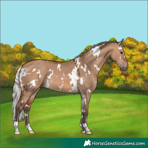 Horse Color:White Spotted Silver Brown Dun 