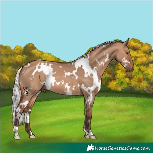 Horse Color:White Spotted Silver Brown Dun 