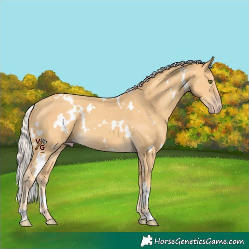Horse Color:White Spotted Silver Classic Cream Champagne 