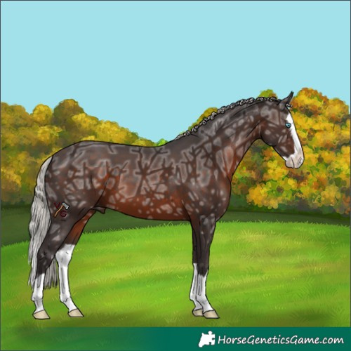 Horse Color:Silver Brown Ice Splash