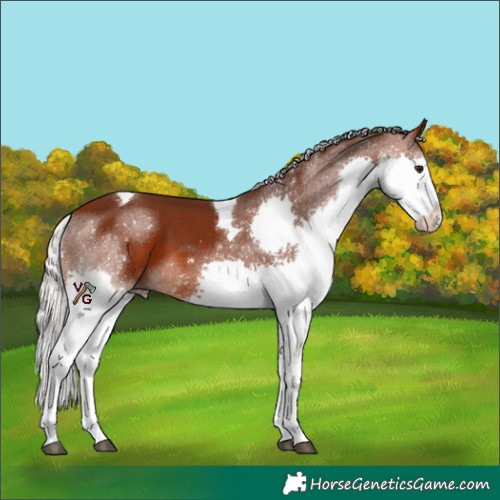 Horse Color:Silver Brown Splash Tobiano 
