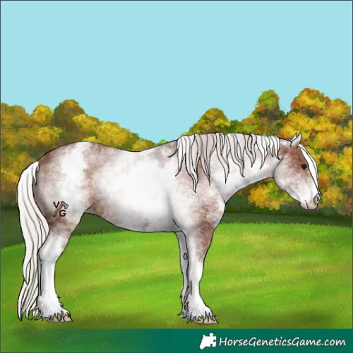 Horse Color:White Spotted Silver Black 