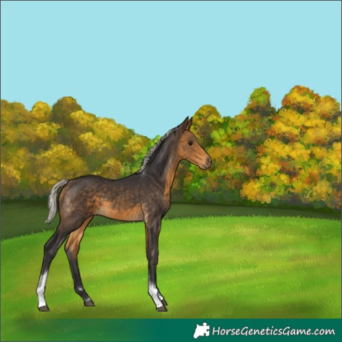 Horse Color:Silver Buckskin Tobiano 