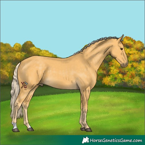 Horse Color:Palomino 