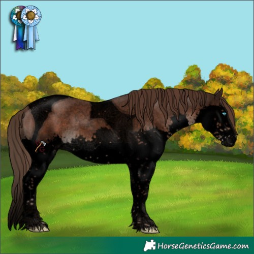 Horse Color:Void Liver Chestnut Splash Tobiano 