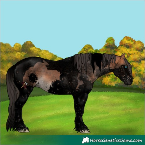 Horse Color:Void Bay Splash Tobiano 