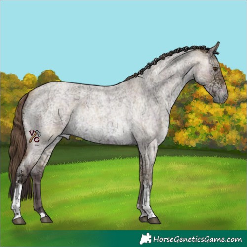 Horse Color:Plaid Bay Ice Roan Dun Tobiano