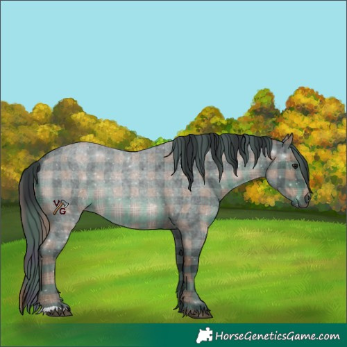 Horse Color:Plaid Blue Roan