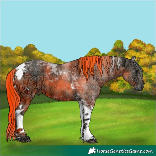 Horse Color:Plaid Grullo Ice Tobiano